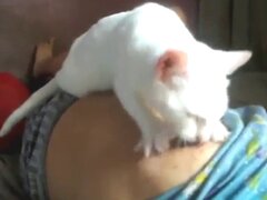 Animal Porn XXX Sex Movies