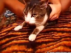 Black bestiality sex