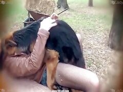 Sucking animal sex