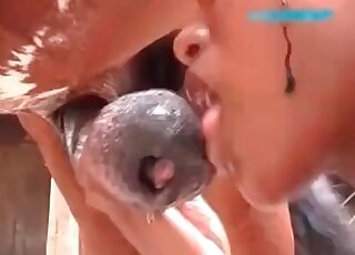 Aroused slut passionately strokes and sucks huge horse dick