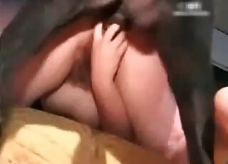 Hairy pussy of a chubby bitch gets penetrated by a big dog's shaft