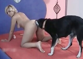 Short-haired blonde stands on all fours and gets her pussy licked by a dog