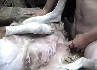 Passionate fucking movie shows a guy fucking a beast in mish