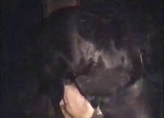 Black dog orgasms shamelessly after fucking another dog here