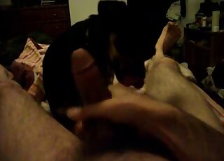 Hairy penis dude is enjoying hot POV oral with an animal here