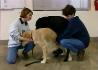 Attractive MILFs in sexy jeans want to watch their pets fuck hard