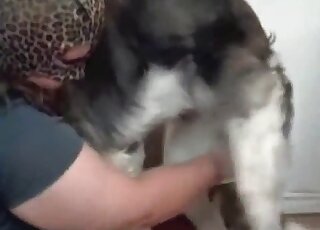 Big booty zoophile fucking in a twisted BBW porn video with handjobs