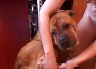 Skinny blonde with small tits finds a hot brown dog to fuck hard