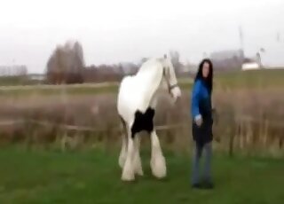 Awesome porn movie with a white horse that exposes its naughty bits