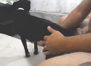 Kicsi