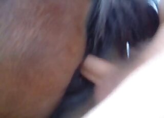 Mare pussy fucked violently by a guy with a stiff penis right here