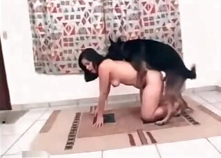 امرأة سمراء سيئة ترحب بكلب الراعي لإثارة حديقة الحيوان الإباحية XXX