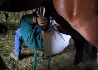 Huge stallion cock is going to be featured heavily in free zoo XXX