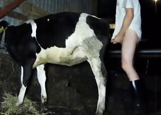 Sexy animal is going to get banged from behind with real passion