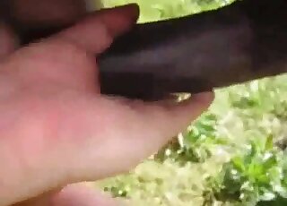 Tight zoophilic butthole stretched to the limit by a sexy horse