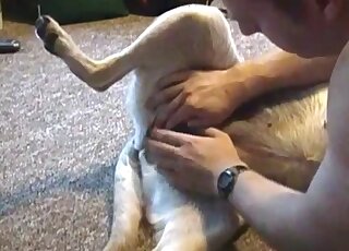 Dog lying on its back as it receives a great handjob from a zoophile