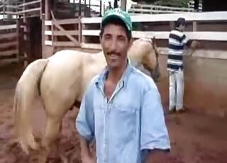 Outdoor horse-on-horse fucking with a hung brown stallion in HD