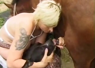 Brown stallion and black dog fucking the same lady in a threesome