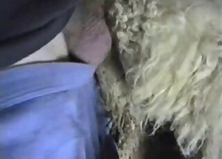 Vagina