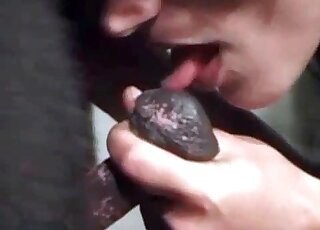 Redhead zoophile slut performs a high-class oral action with a horse