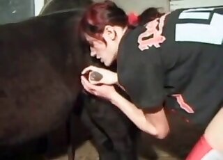 Redhead zoophile slut performs a high-class oral action with a horse
