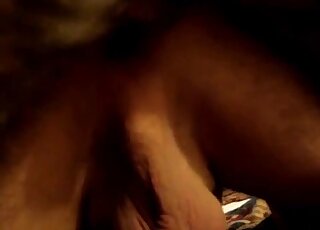 Dog in heat sniffs his way to the guy's butt before anal pounding