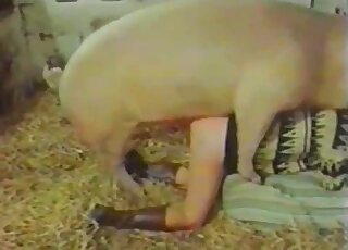 Gorgeous lady in sweater wants to get banged by a giant pig badly