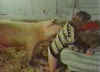 Gorgeous lady in sweater wants to get banged by a giant pig badly