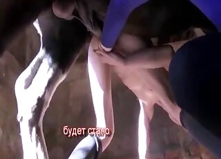 شقراء مثيرة تعطي ضربة قوية لحصان قبل ممارسة الجنس في حديقة الحيوانات