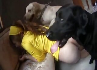 Adorable Japanese chick gets licked by two horny Labradors