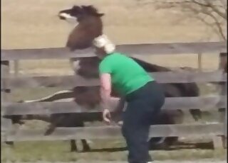 تم القبض على لاما وهو يمارس الجنس مع خروف من قبل أحد محبي الجنس في حديقة الحيوانات