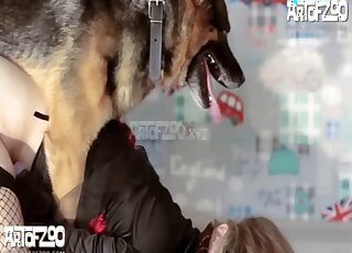 Girl in red boots and fishnets got topped by German Shepherd in heat