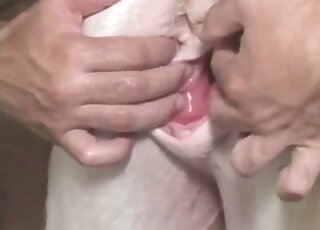 Latino stallion treats gaping horse pussy with deep fisting