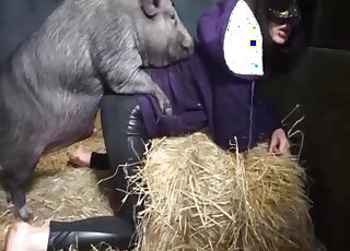 Crotchless chick gets pussy banged by thick boar in heat