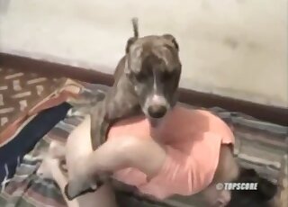 Amateur MILF lets canine in heat bang her doggy style