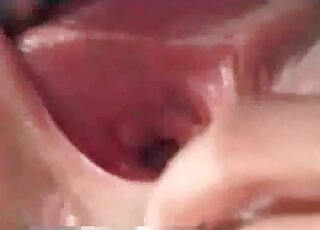 Huge dick of a horse is about to penetrate zoophile slut's cunt