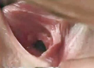 حصان ضخم على وشك اختراق مهبل عاهرة زوفيلية