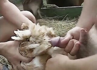 Chick