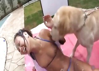 Latin babe is going to get her body licked all over by kinky dogs here