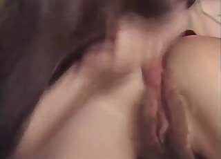 Brown animal fucking a zoophile's hairy pussy from behind passionately