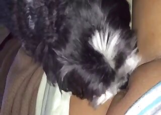 Black dog eating this zoophile's juicy vagina in a taboo porn movie