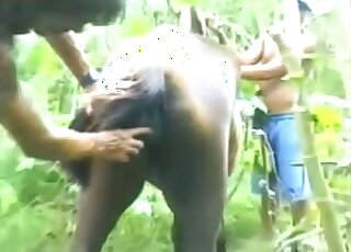 Animal pussy gets fingered before he decides to enter it full force