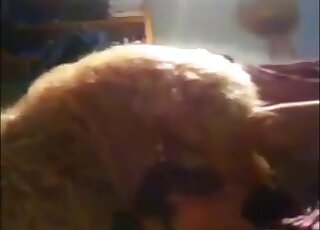 Furry beast humping a throat in a nighttime sex tape movie in HQ