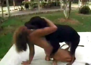 Aroused dog is about to start fucking that slender zoophile bitch