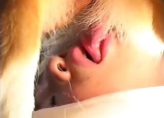 Adorable Asian lady enjoys closeup fucking with a dog that loves oral