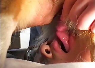 Adorable Asian lady enjoys closeup fucking with a dog that loves oral
