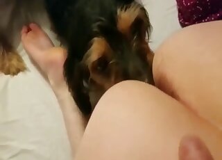 Licking and fucking featured in one of the hottest porn movies ever