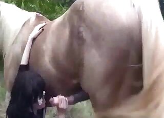 Short yet eventful scene with a brunette that sucks horse cocks