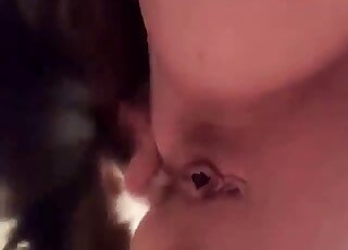 Wife tries direct anal with her dog in homemade zoophilia