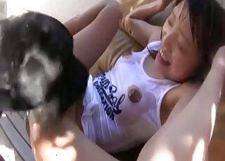 Teen Japanese takes dog sperm on face after ruthless cam perversions